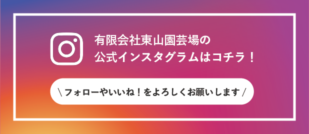 有限会社東山園芸場の公式インスタグラムはこちら