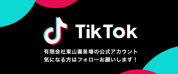 有限会社東山園芸場のTikTok公式アカウントはこちら