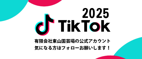 有限会社東山園芸場のTikTok2025公式アカウントはこちら